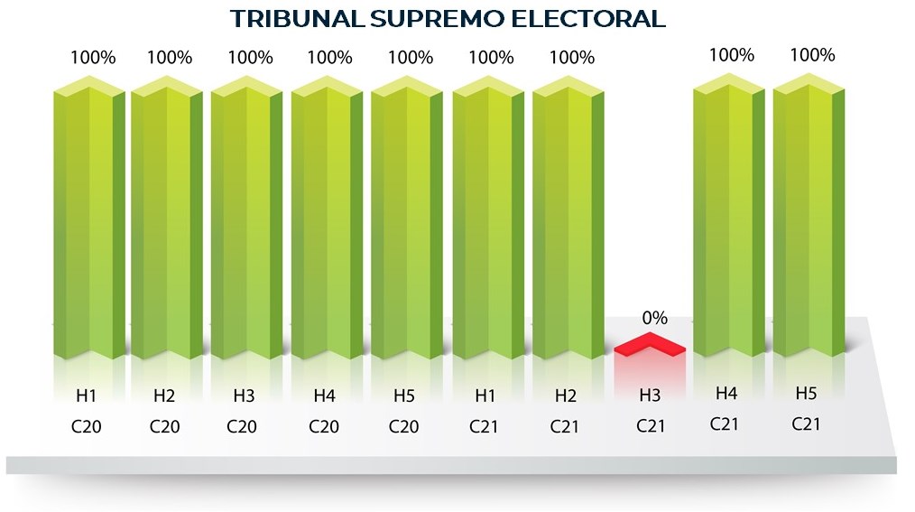 Tribunal Supremo Electoral